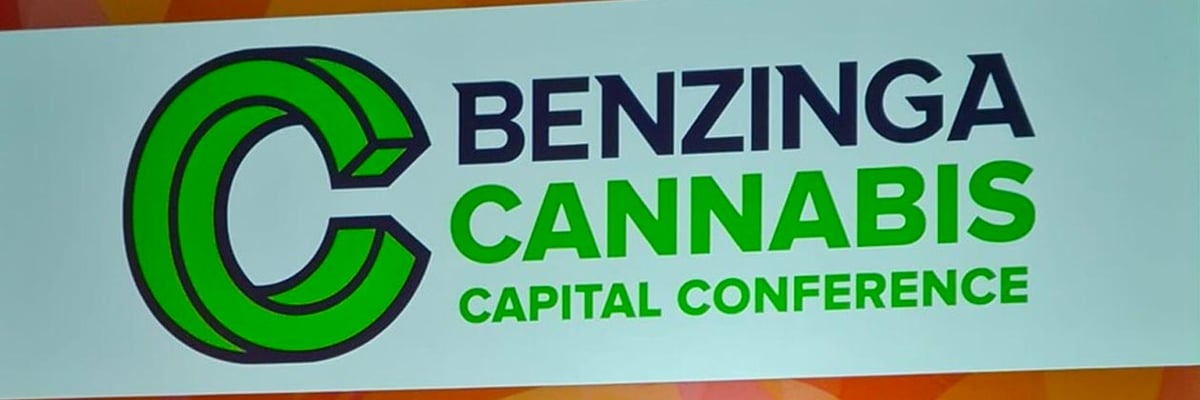 At Benzinga Cannabis Capital...