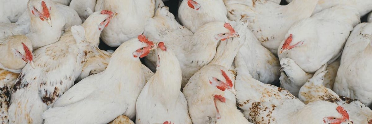 USDA Opens Registration for...