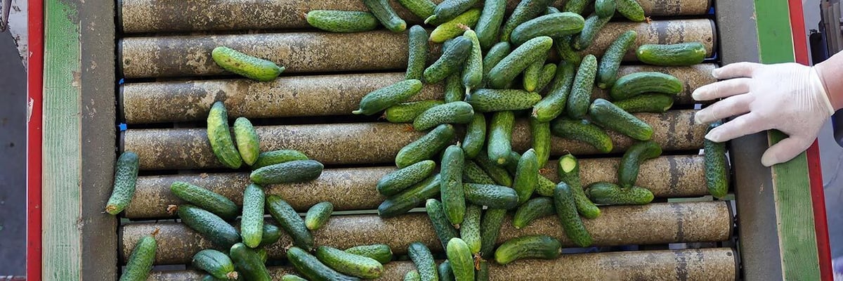 Salmonella Outbreaks Spark...