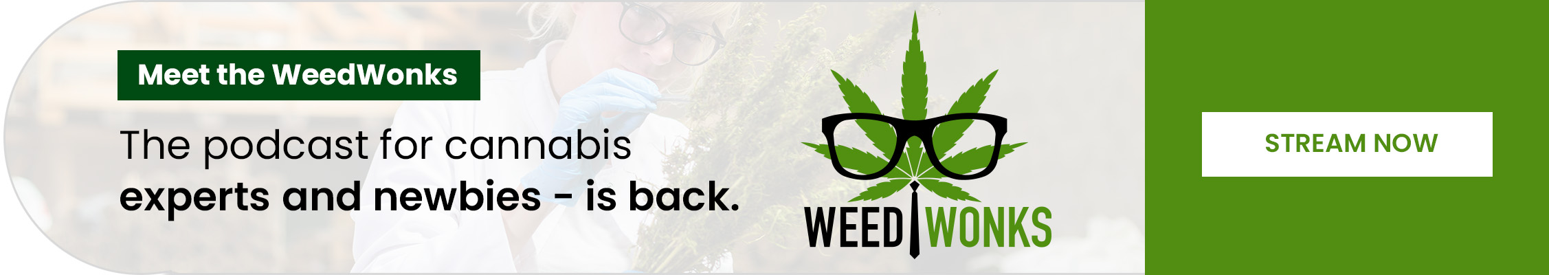 Meet the WeedWonks_