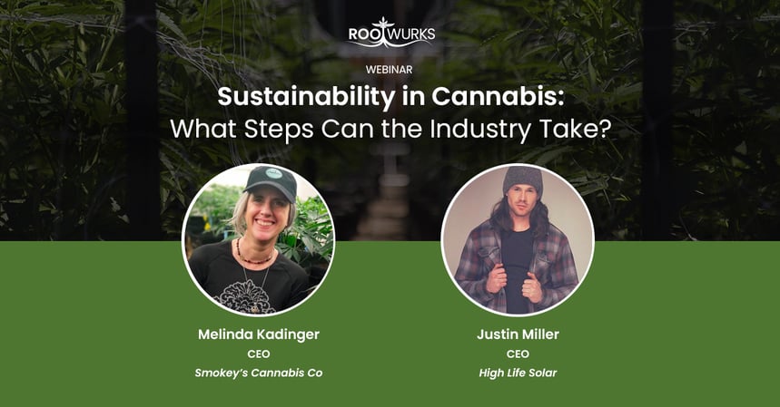Sustainability-in-Cannabis--What-Steps-Can-the-Industry-Take- (1)
