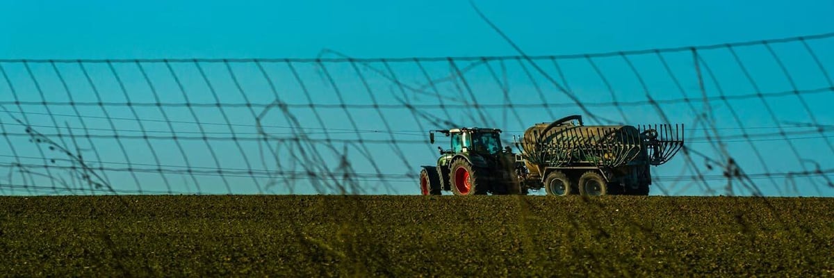 How Sustainability Demands...