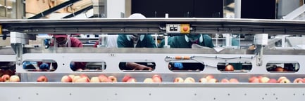 5 Ways to Improve Food Safety Today