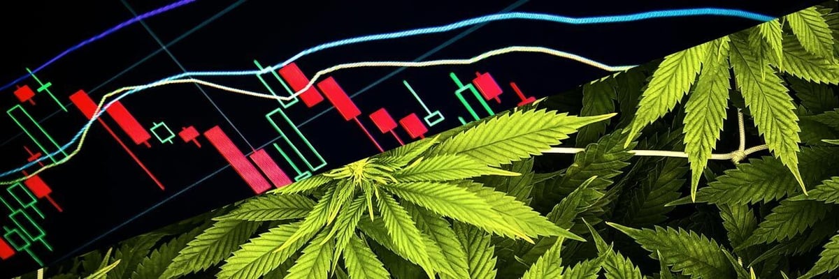 Cannabis Stocks Soar as Trump...