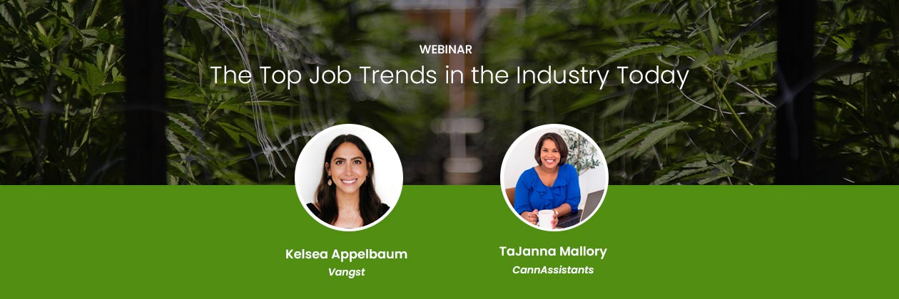 The Rootwurks Webinar Series Presents: The Cannabis Job Market - Where is it Going, and How Can You Get In the Mix?